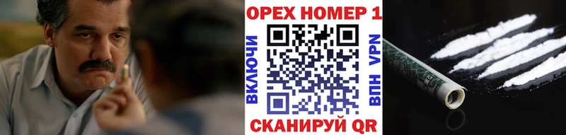COCAIN Fish Scale  Купить где  Сосновый Бор 